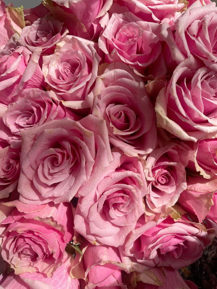 Garden Studio Plain workshop space where corporate flower arrangements are designed and prepared for business delivery